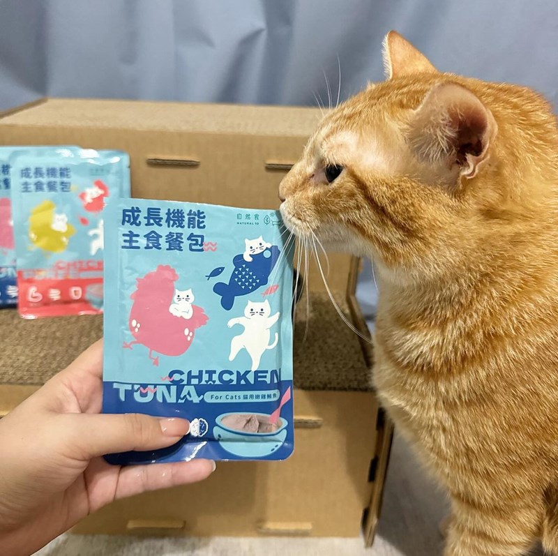 試用